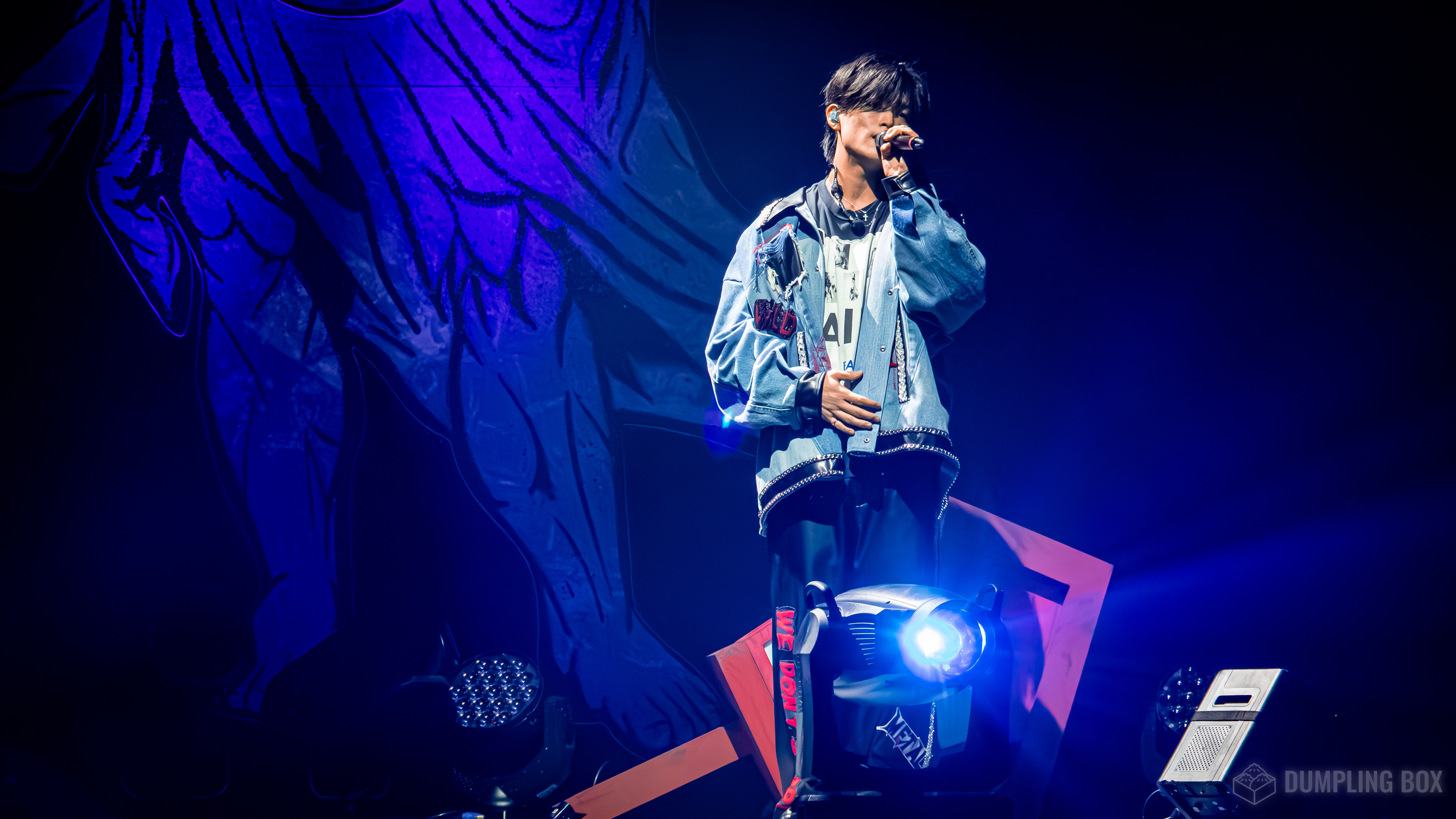 A performer singing on stage with dramatic lighting and a colorful backdrop, capturing an energetic live concert atmosphere.
