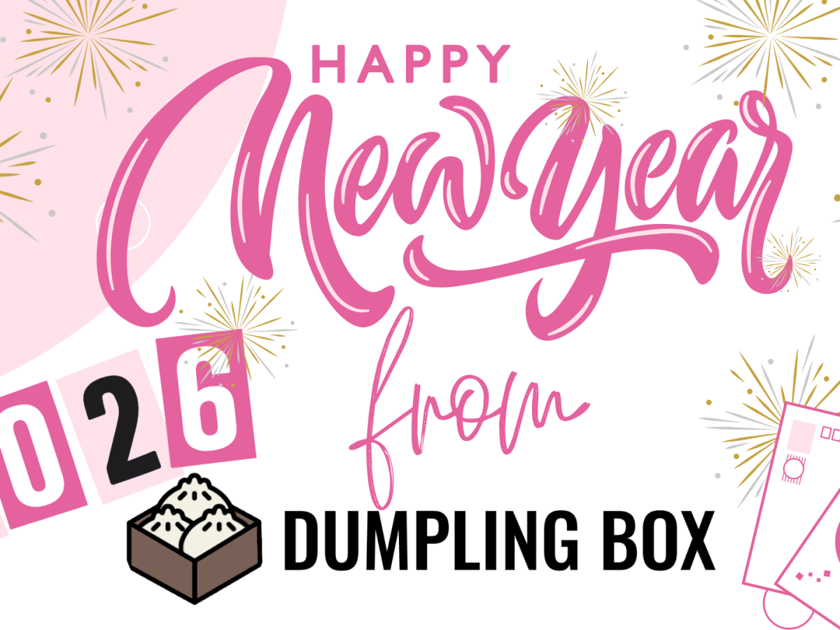 Reflecting on 2025: Dumpling Box