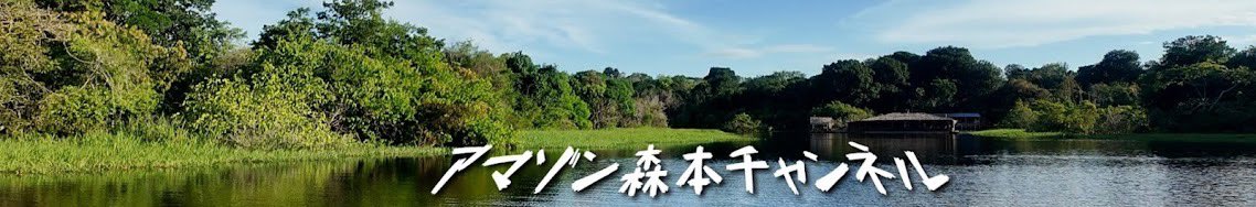 A scenic view of the Amazon rainforest reflecting in the water, with lush greenery and a clear blue sky, featuring the text 'アマゾン森本チャンネル' overlaying the image.